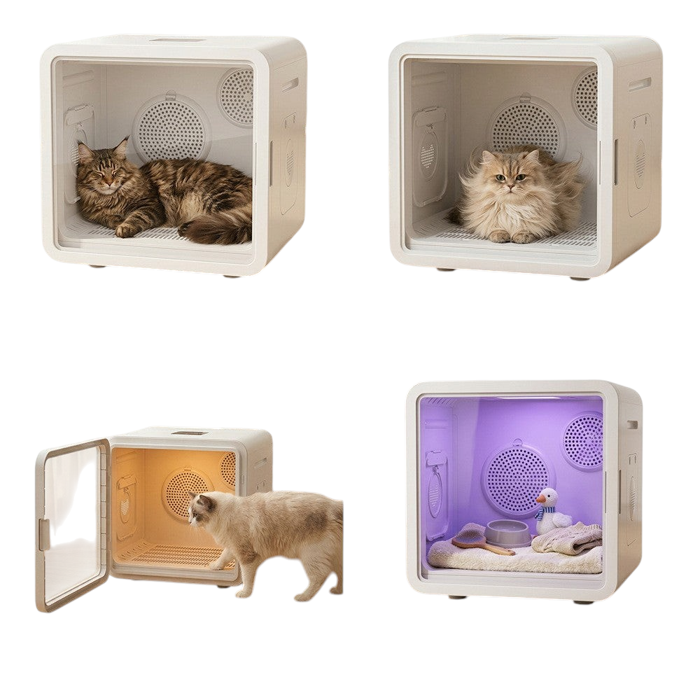 The Tailored Tail smart pet drying box with cats inside, featuring 3D circulating air and quiet operation.